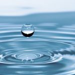 Zebranie Spółki Wodnej – ustalenia